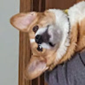 Meet your Posher, Kyle